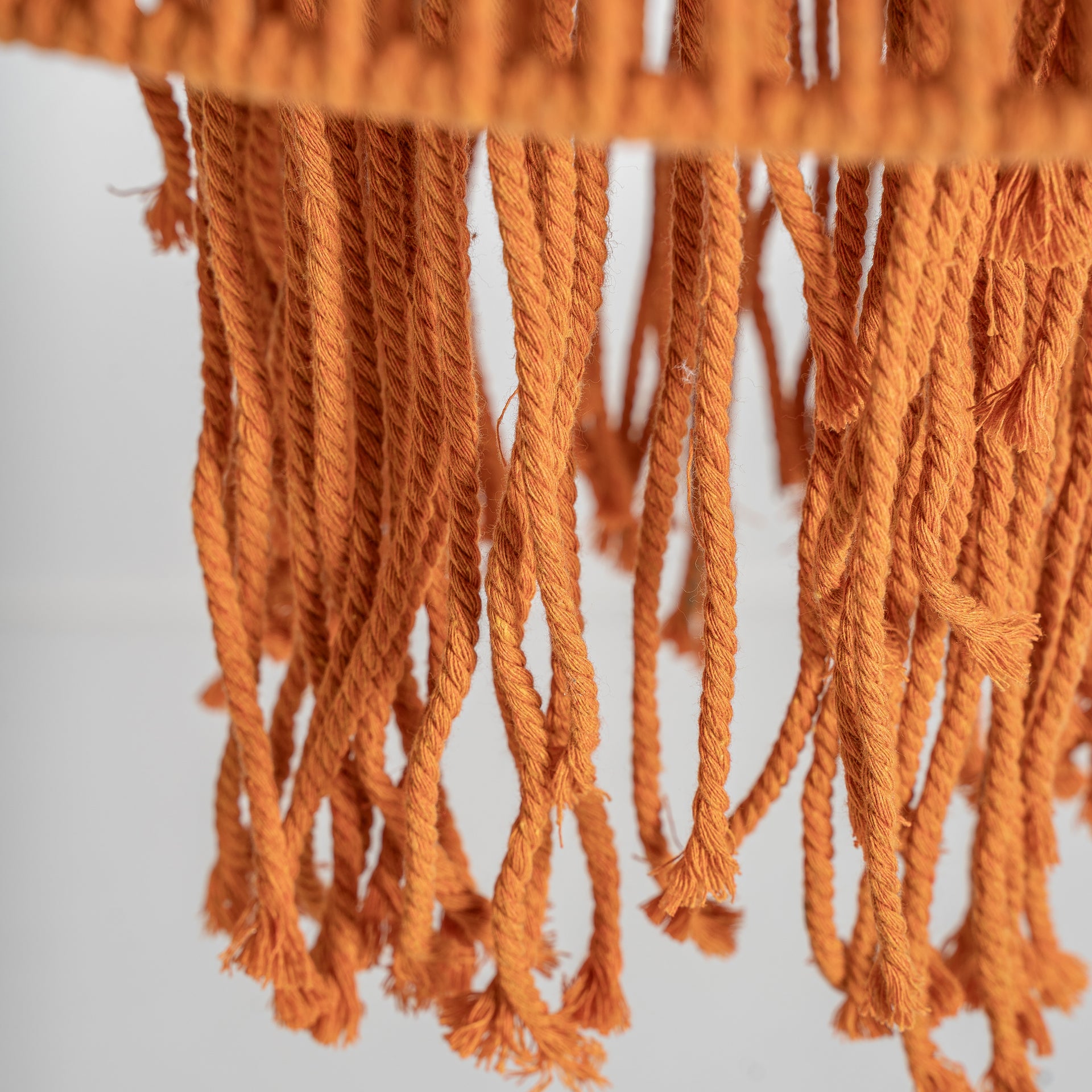 CORAL CEILING LAMP